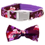 Collar Bow Tie Purple
