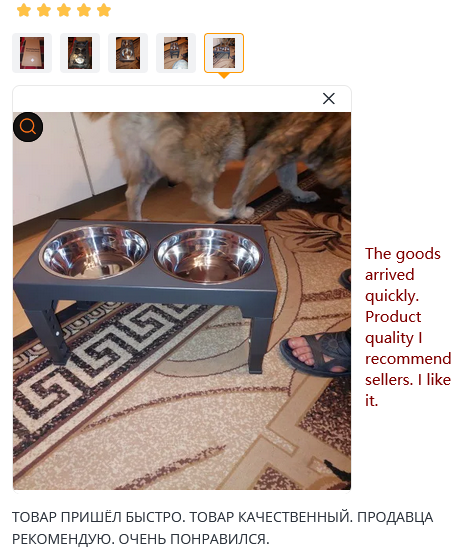 Title 1, Elevated Dog Bowls 5 Adjustable Heights Raised ...