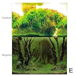 Background E