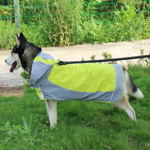 Title 6, Color Block Cloak Big Dog Raincoat Outdoor Brea...