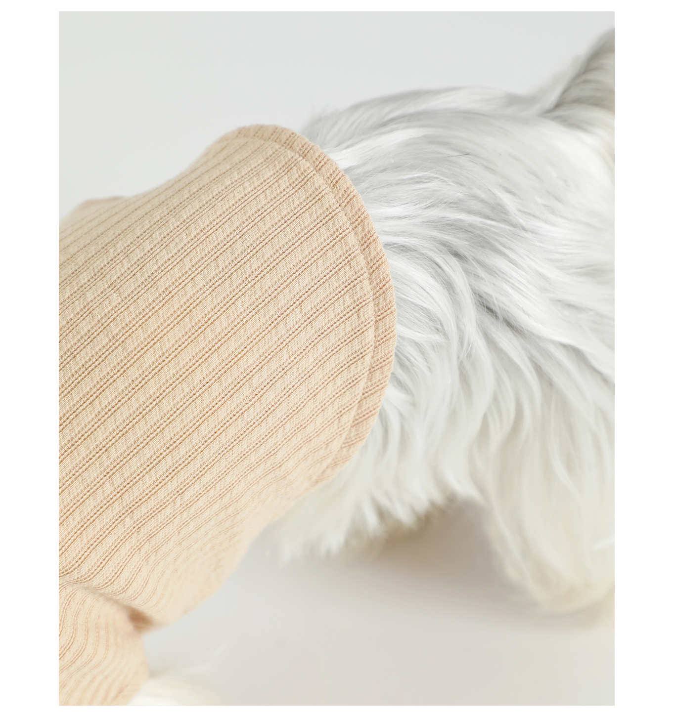 Title 6, Cute Pet Floral Neck Bow Vest Clothes. Adorable...
