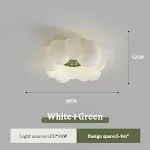 Type B 30CM White And Green