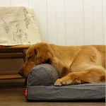 Cama para perros impermeable con esponja viscoelástica de lino y cubierta removible, para un descanso cómodo y fácil limpieza. — foto 3