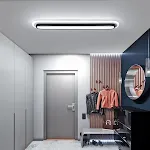 Neutral Light