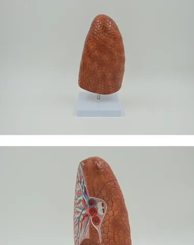 Image product - 0