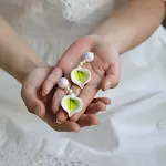 Earrings have no piercing