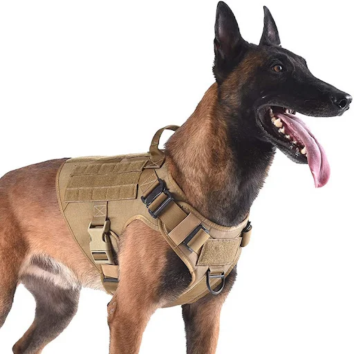 Title 2, Tactical Dog Seat Belts, Military Adjustable Ve...
