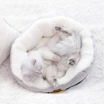 miniatures image - 1
