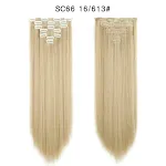 SC6616613