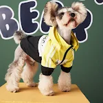 Waterproof Dog Clothes Raincoat Jacket Pet Apparel Lightweight Rain Coat for Dogs Water Resistant Protective Gear Ideal — photo 2