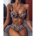 Leopard Print