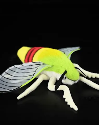 Image product - 3