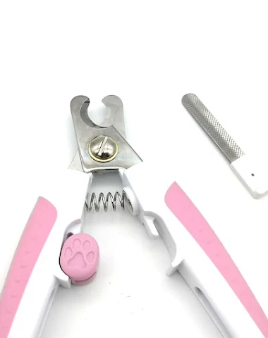 Image product - 2