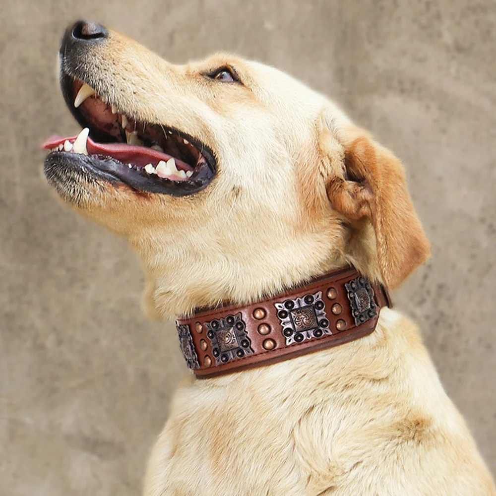 Title 5, Dog Bite-proof Rivet Collar for Medium and Larg...