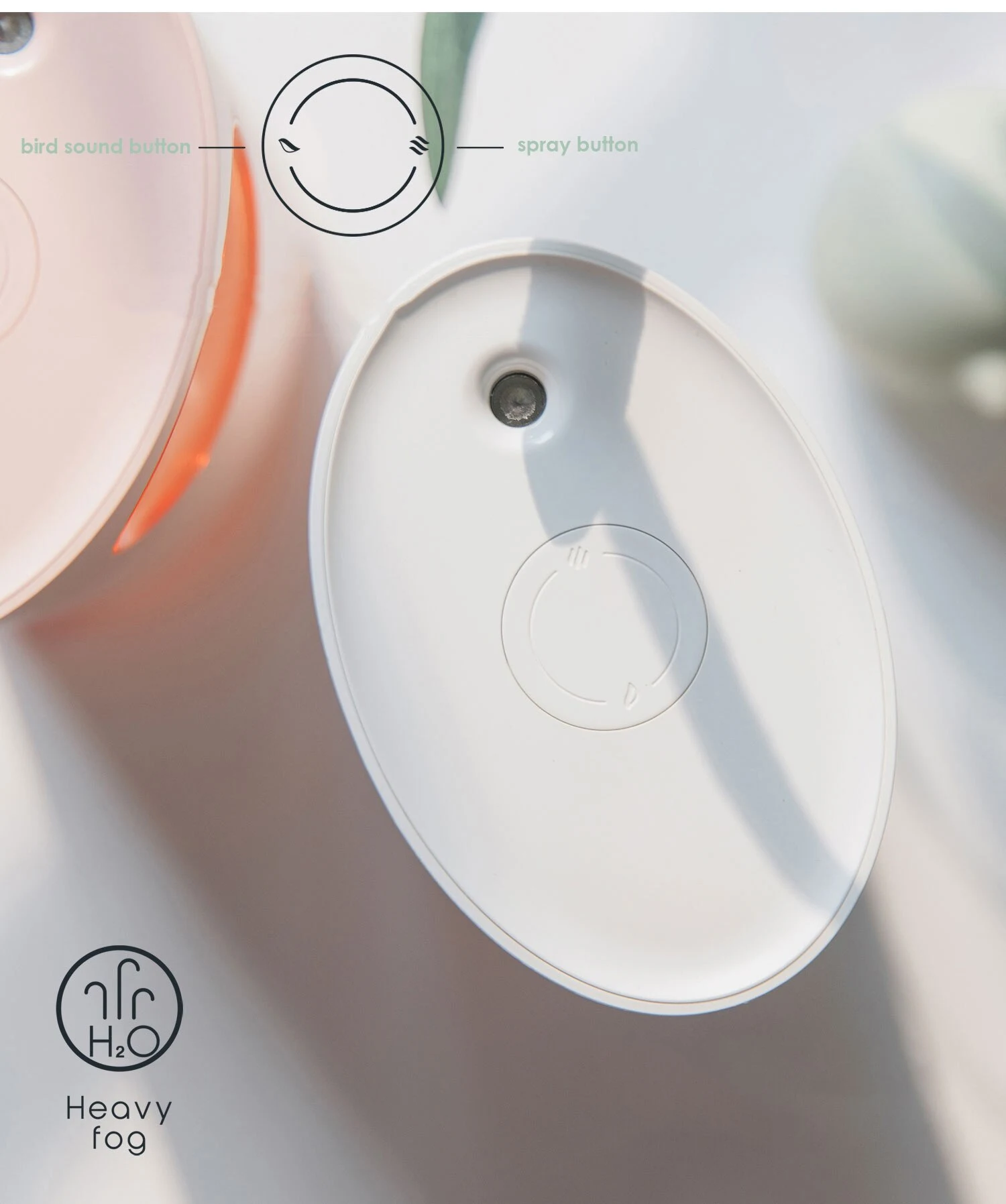 Title 7, Music Bird Aroma Diffuser Nachtlampje combineer...