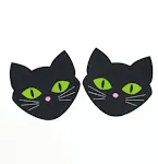 Black cat luminous