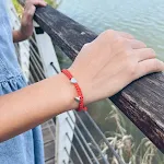 Steel Red