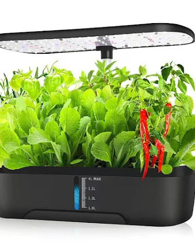 Image product - 3