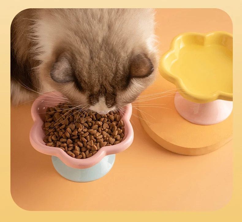 Title 8, Ceramic Pet Cat Bowl with Flower Design, High F...