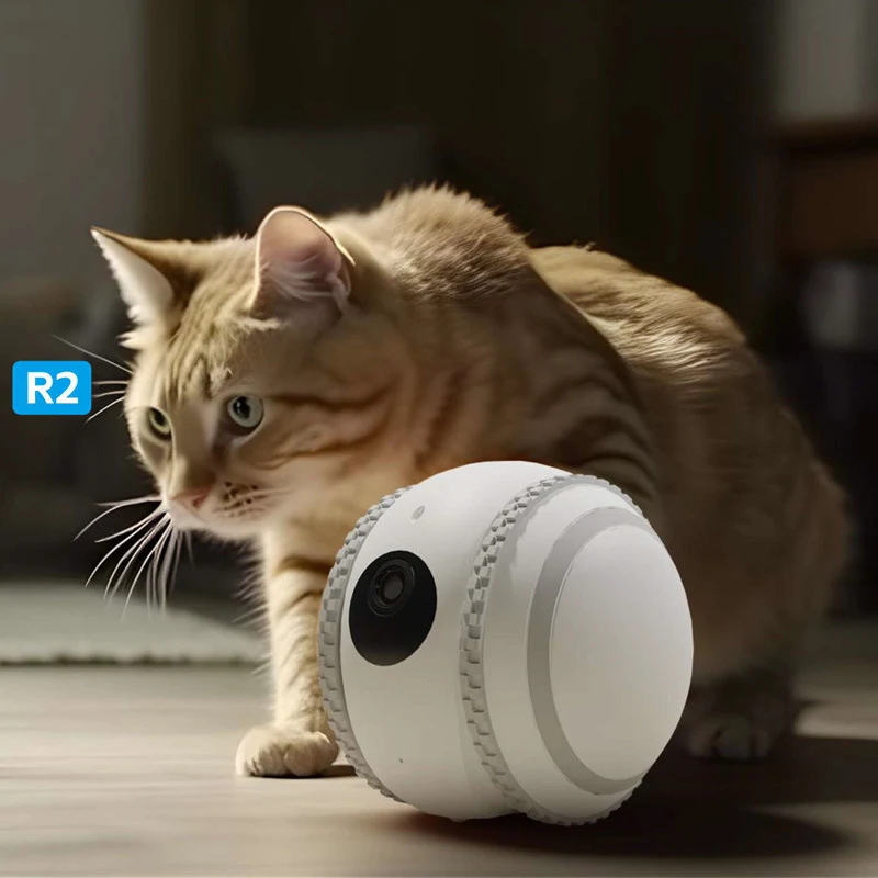 Title 1, Pet Companion Robot Cat Monitoring Watch and ca...