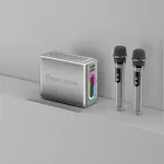Silver Dual Microphone