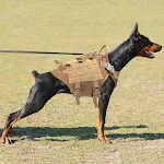 miniatures image - 9