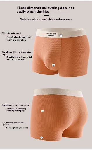 Title 7, Boxer en coton pour homme grande taille antibac...