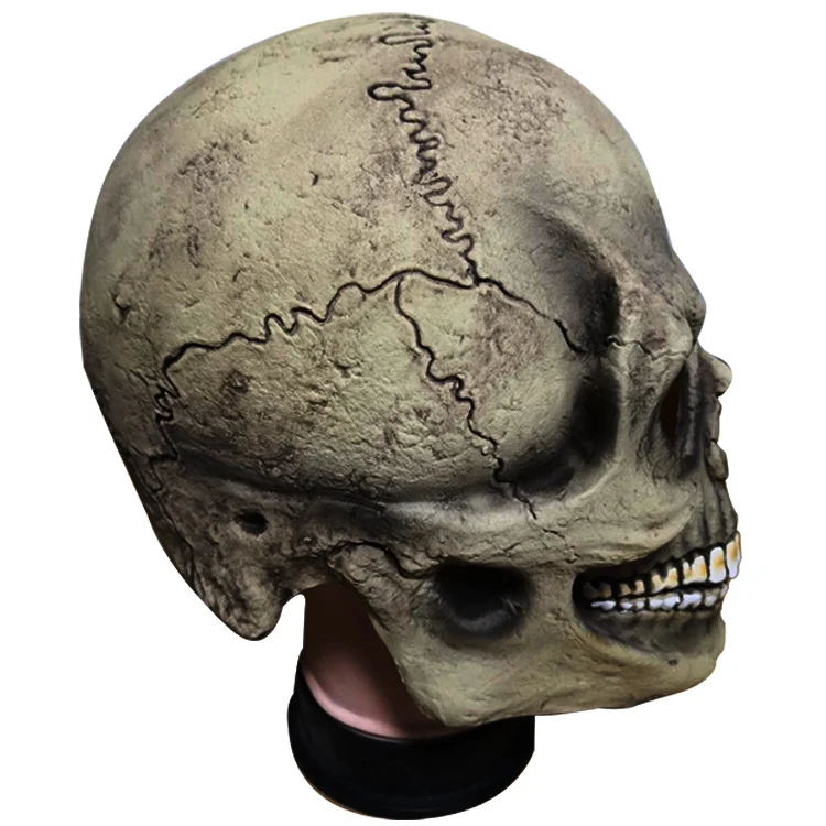 Title 5, Halloween Skull Mask for costumes and parties. ...