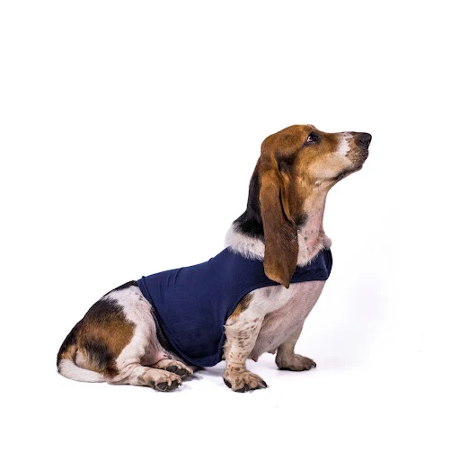 Title 7, Pet dog anxiety comfort clothing. Reduces anxie...