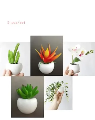 Image product - 1