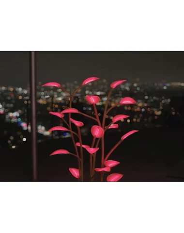 Image product - 0