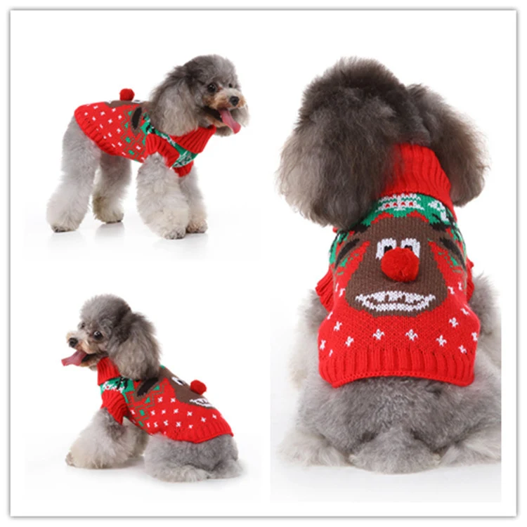 Title 6, Hunde-Sweater für den Herbst