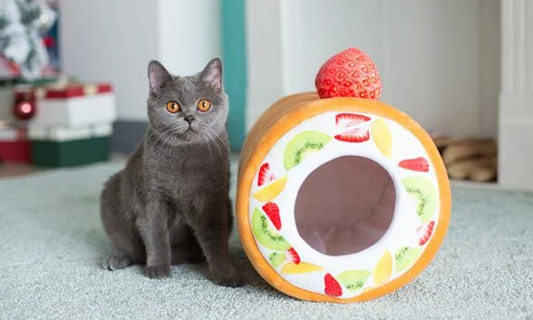 Title 4, Cake roll cat litter provides superior odor con...