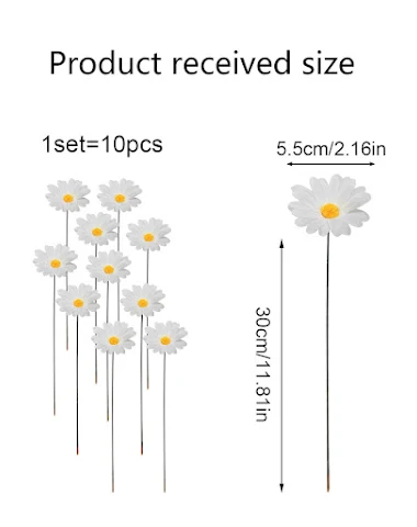 Image product - 0