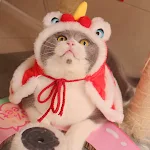 Capa de Invierno Cálida para Gato León Chal, abrigado y cómodo, ideal para mascotas en climas fríos, protege y da un toque divertido. — foto 6
