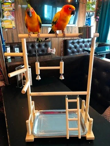 Wooden Parrot Play Stands, Bird Swing Tray Cup Toys, 53x23x36cm Hanging Ladder Bridge for Park Style Climbing Cage — photo 6