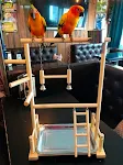 Wooden Parrot Play Stands, Bird Swing Tray Cup Toys, 53x23x36cm Hanging Ladder Bridge for Park Style Climbing Cage — photo 6