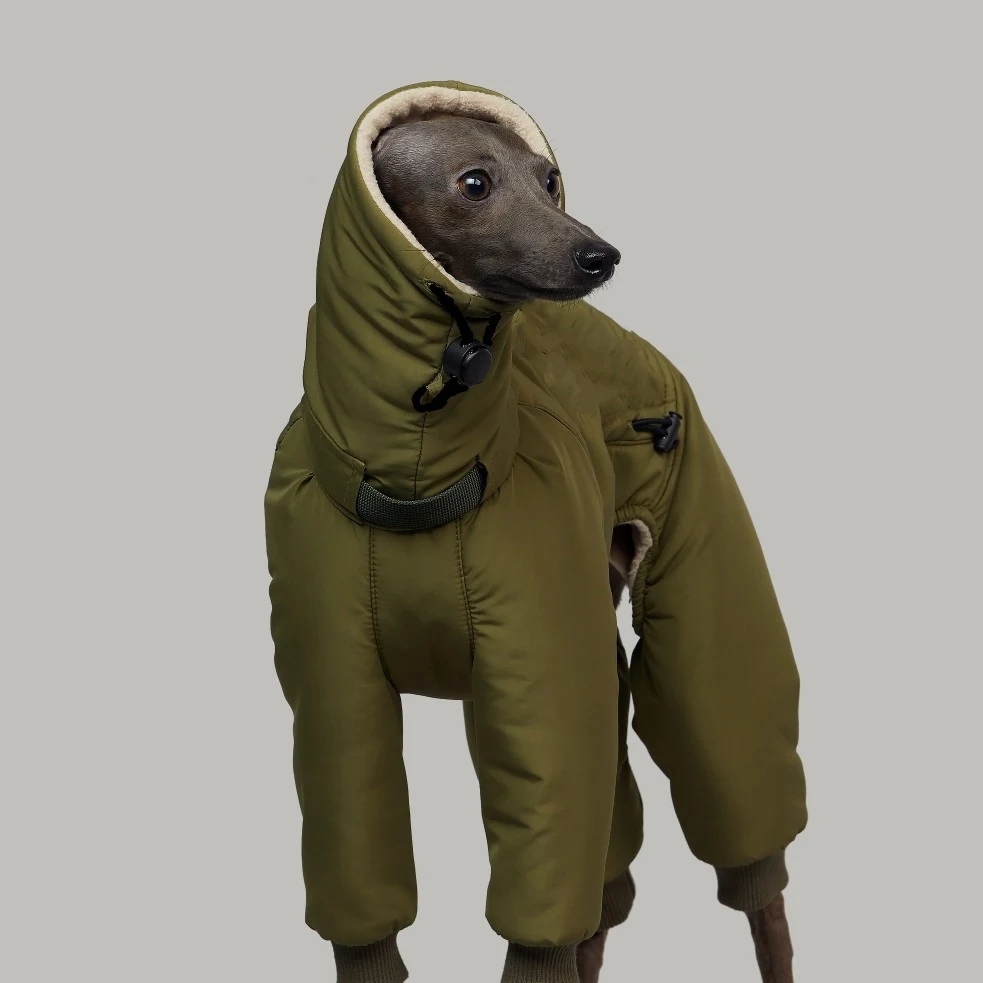 product image - 4