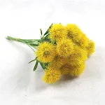 miniatures image - 5