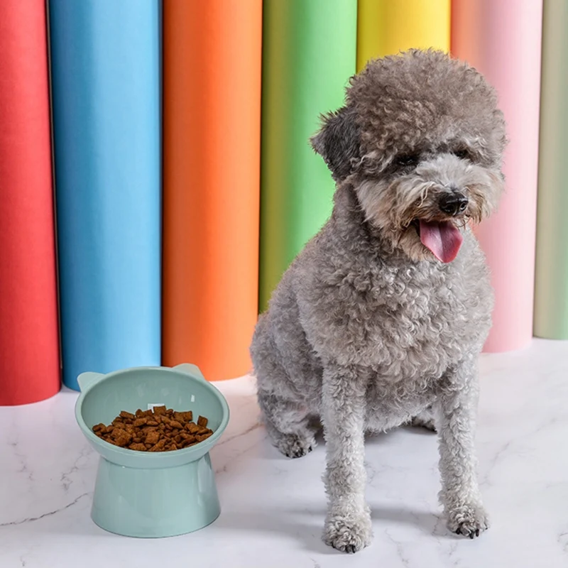 Title 5, for Cat Food Bowl Tilted Raised Posture Neck fo...