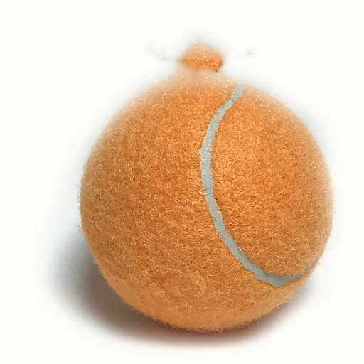 Title 4, Big Puppy Dog Size Tennis Ball, designed for pl...