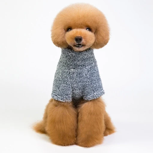 Title 14, Hoge kraag koraal fleece huisdier kleding warme...