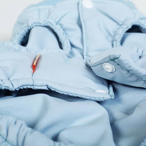 Title 5, Casual Pet Clothes