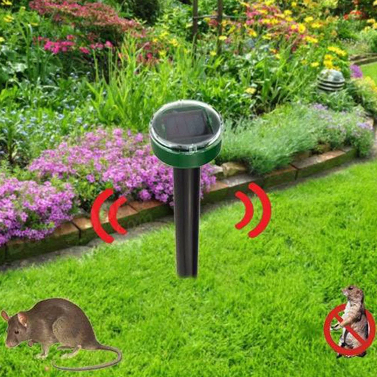 product image - 8