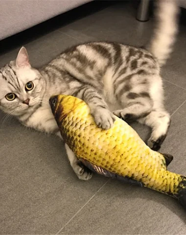 Image product - 3