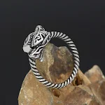 Anel Vintage Viking Dragão Venenoso Aço Titânio Masculino Anel Estiloso Jóia Para Homens Presente Ideal — foto 5