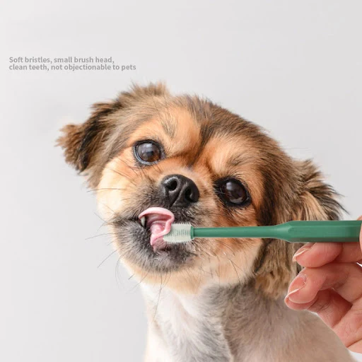 360 Degrees Pet Toothbrush Cat Brush Addition Bad Breath Tartar Teeth Care Dog Cat Cleaning Mouth Dog Cat Cleaning Suppl — photo 6