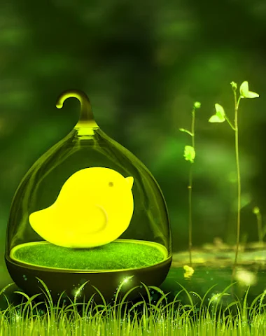 Image product - 2