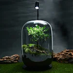 miniatures image - 0