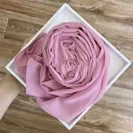 Dianthus